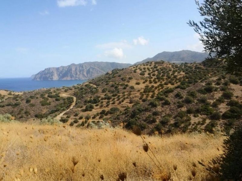 Mochlos Kreta, Mochlos: Baugrundstück mit kleinem Steinhaus zu verkaufen Grundstück kaufen